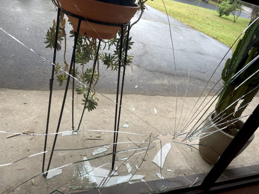 Cracked and shattered window pane with loose glass pieces, looking out over potted plants